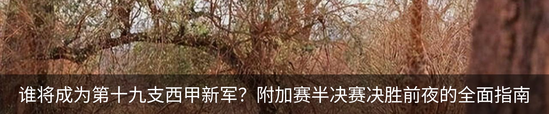 行业资讯